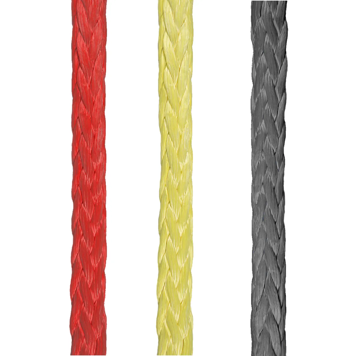 Cored_ALL (1)
